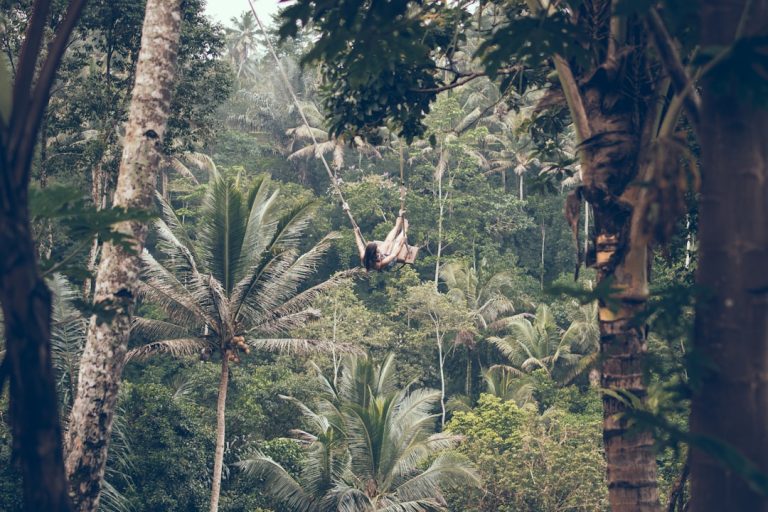 Embracing the Wild: Unconventional Outdoor Adventures for Thrill-Seekers