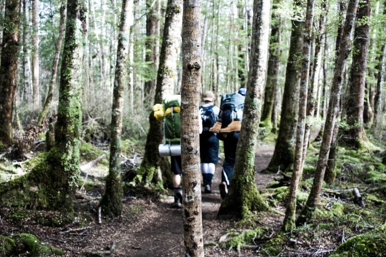 The Art of Backpacking: Embracing Minimalism in Outdoor Adventures